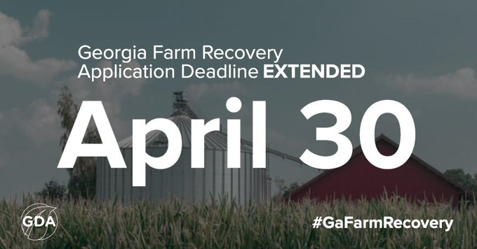 rahulbali's tweet photo. Today was suppose to be the deadline for Georgia farmers and agricultural producers to apply for aid for Hurricane Michael damage. #gapol #GaFarmRecovery
The application deadline for the Georgia Farm Recovery Block Grant has been extended to April 30th. https://t.co/dio4PJ2nFm https://t.co/Skg3HxTQiT