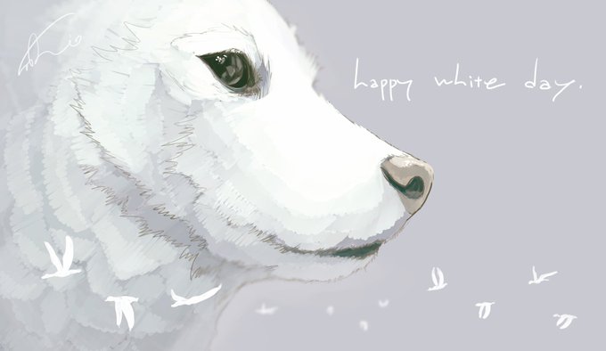 「柴犬の日」 illustration images(Latest))