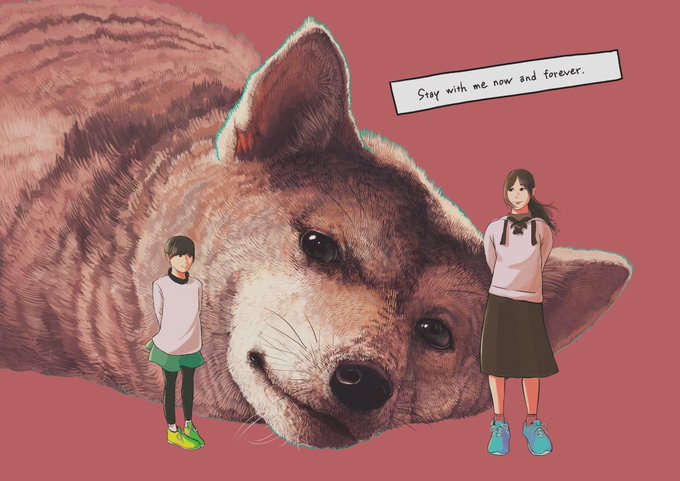 「柴犬の日」のTwitter画像/イラスト(新着))