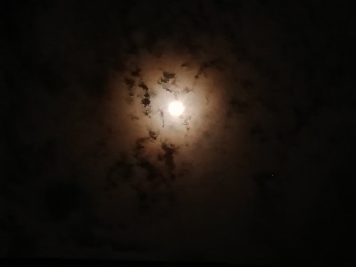Danis_aa's tweet photo. I dedicate this moon to you ♥️🌙#Superluna https://t.co/lsjVtXh9Tn