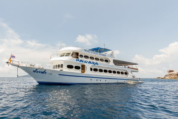 _liveaboards_'s tweet photo. ❗ Early Bird 10% OFF Pawara ❗

Get 10% discount before 31st of August 2020 and cruising on 16th October 2020 to 13th May 2021.

Contact us to get more info.

🌐 https://t.co/e5OkuPabyU
📧 info@all4divingliveaboards.com https://t.co/uYJ7lmjqut