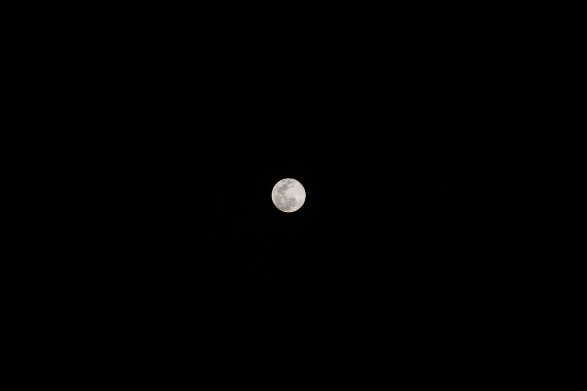 Feliperocha0708's tweet photo. #SuperLuna 07-04-2020 🌓📸 Bogotá, Colombia, tomada con cámara Nikon D500 🇨🇴 https://t.co/WNKgISFE7e