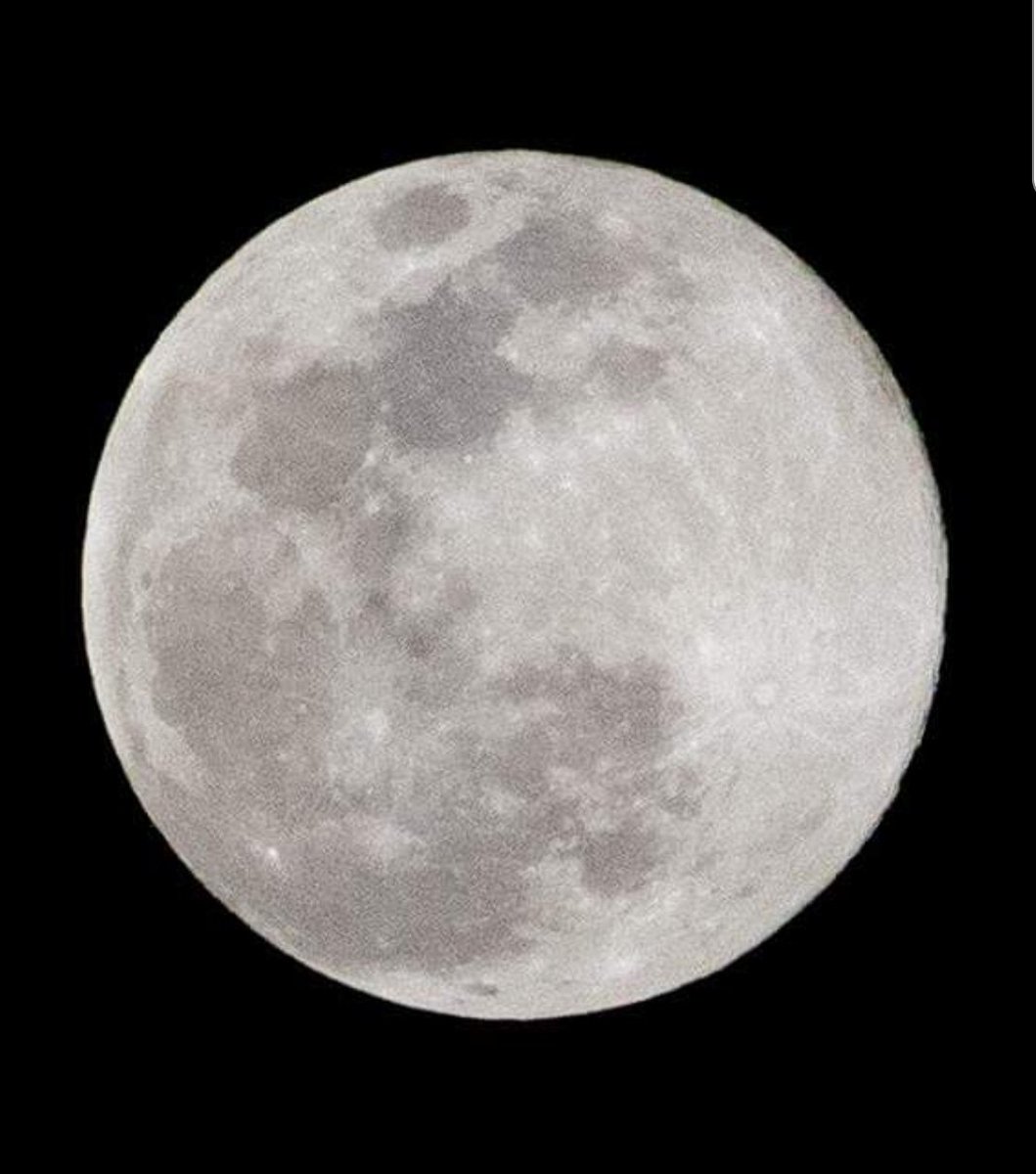LAEANDRADE7's tweet photo. Así la #SuperLuna desde #tacuba #CDMX 
Fotos de @Dandrafe #InfinityFilms @webcamsdemexico @lamatoxlahun @gandrade211 #QuedateEnCasa 🌕🌚 https://t.co/VayEOSFoR3