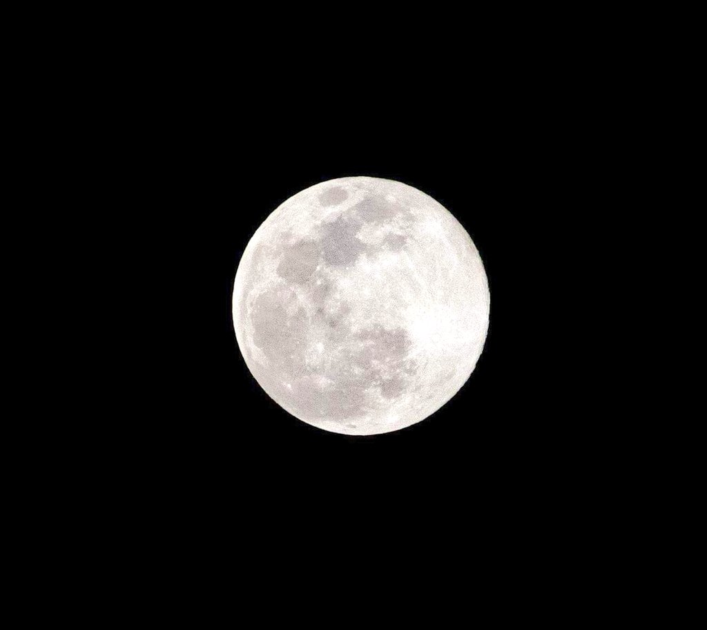 LAEANDRADE7's tweet photo. Así la #SuperLuna desde #tacuba #CDMX 
Fotos de @Dandrafe #InfinityFilms @webcamsdemexico @lamatoxlahun @gandrade211 #QuedateEnCasa 🌕🌚 https://t.co/VayEOSFoR3