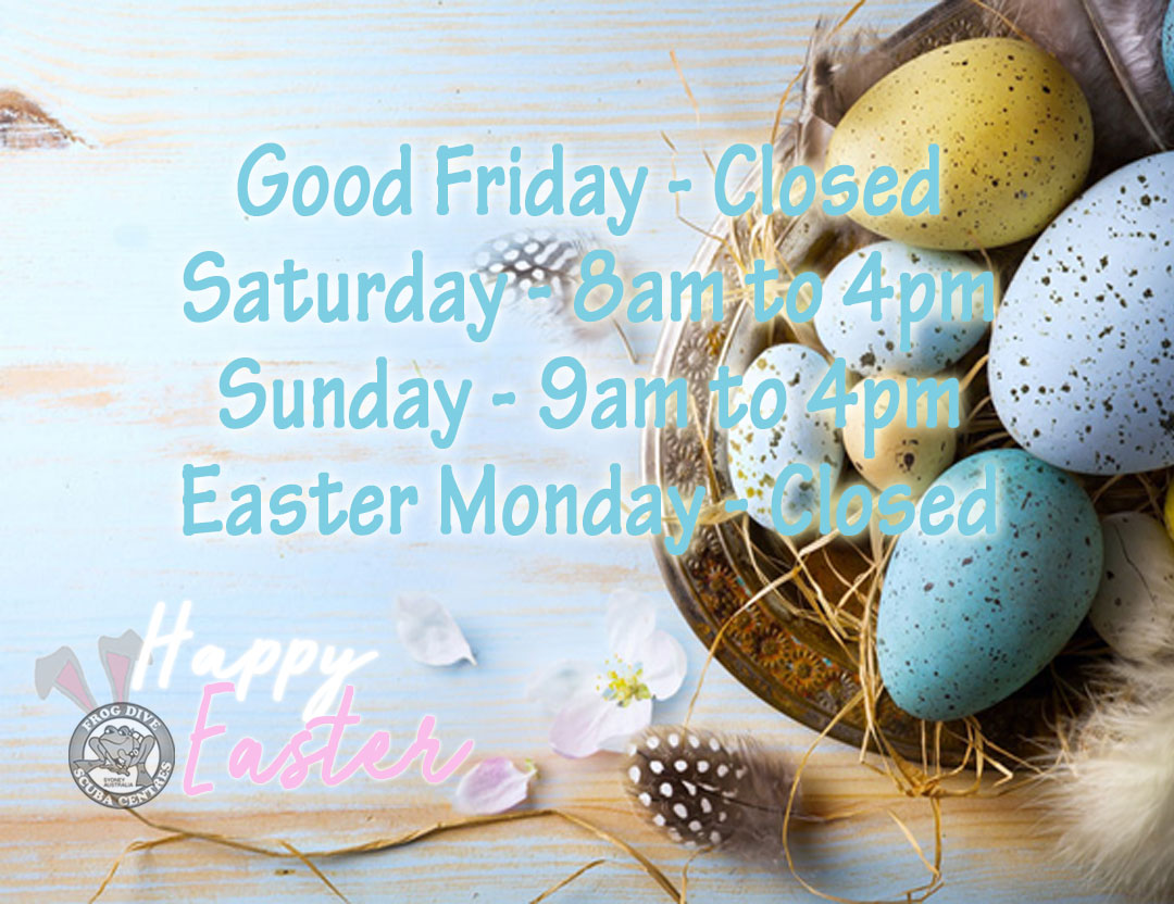 FrogDW's tweet photo. ✨ Happy Easter everybody 🐰

Pop in for air fills and scuba specials!

That the feeling of new beginnings that Easter brings give us hope for the good things to come 🌟

Much love to all ❤️
.
.
.
#frogdive #weareopen #easterhours #scubadiving #diveshop #scubasale #happyeaster https://t.co/CKt1v9q83g