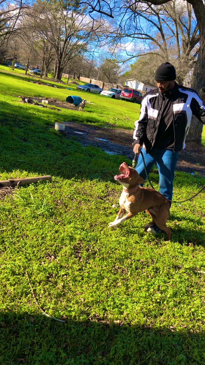 BleekBell's tweet image. Me and The Napalm “Champ”. Hard work and 4 years together. #DeepGame