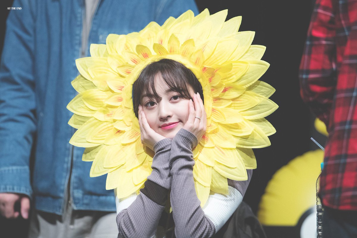 Jihyo as Primrose Language Of Flowers: - Hope Message: Thank you for being born. Just because you smile, new hope comes here. #TWICE  #트와이스  #JIHYO  #지효