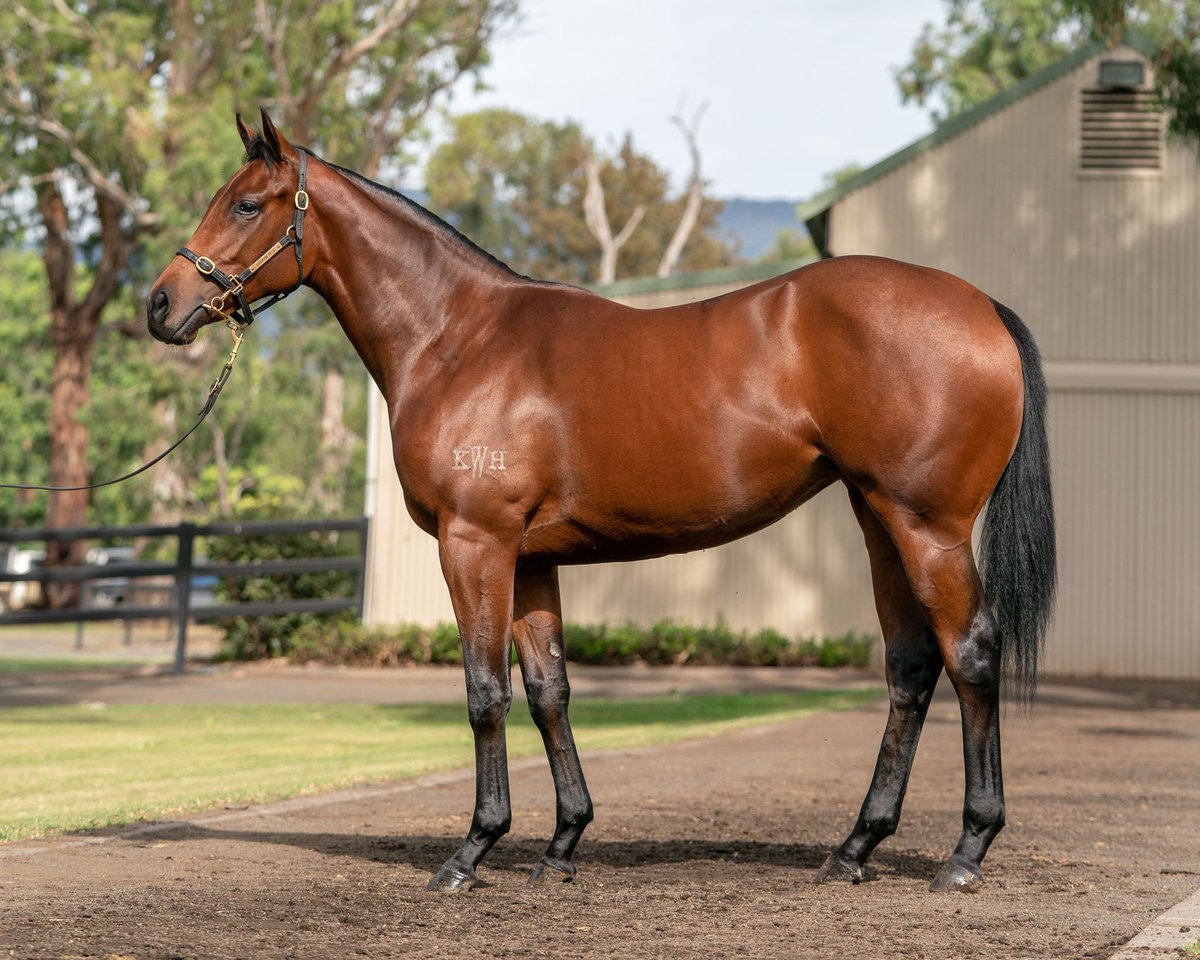 馬 Le Cheval♘♞ tweet media