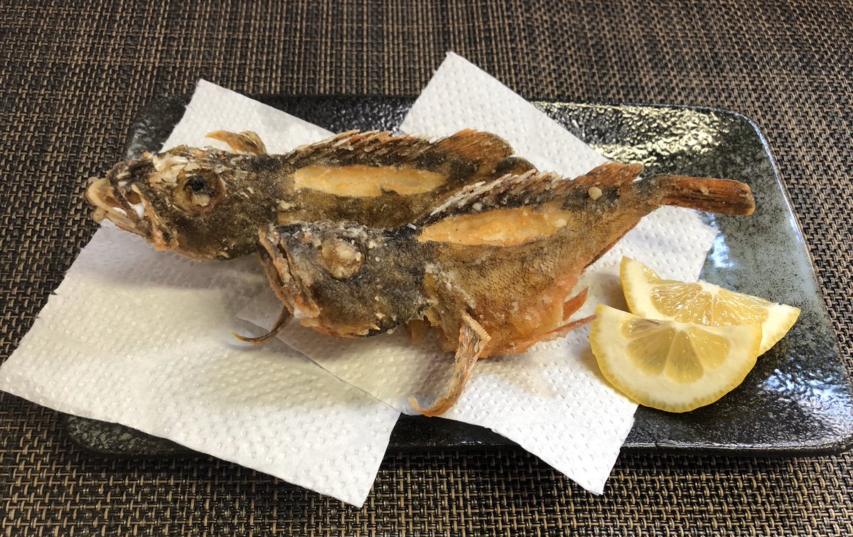 Yuko בטוויטר ツイキャスお付き合い下さった方 ˊᗜˋ ᵗᑋᵃᐢᵏ ᵞᵒᵘ 昨日釣ってきたアジを見様見真似でアジの姿造り アジのたたき カサゴはカサゴの唐揚げ カサゴのお味噌汁にしました アジ カサゴ ガシラ 魚料理 釣りガール Ltアジ 唐揚げ