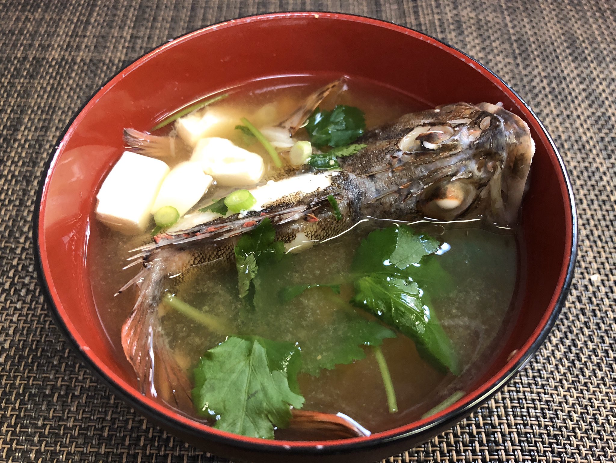 Yuko בטוויטר ツイキャスお付き合い下さった方 ˊᗜˋ ᵗᑋᵃᐢᵏ ᵞᵒᵘ 昨日釣ってきたアジを見様見真似でアジの姿造り アジのたたき カサゴはカサゴの唐揚げ カサゴのお味噌汁にしました アジ カサゴ ガシラ 魚料理 釣りガール Ltアジ 唐揚げ