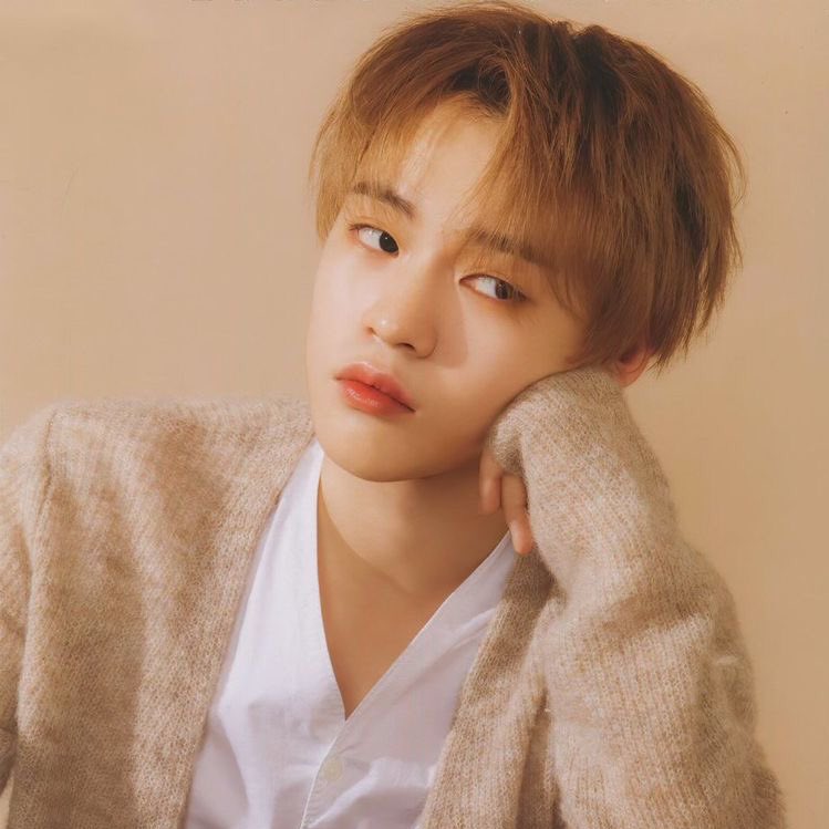 Chenle as beabadoobee Started off really soft and sweetHas matured into something a little more rocker and emoAdorable lil beansAlways had colorful hairMusic sounds like a warm smile with crinkly eyes