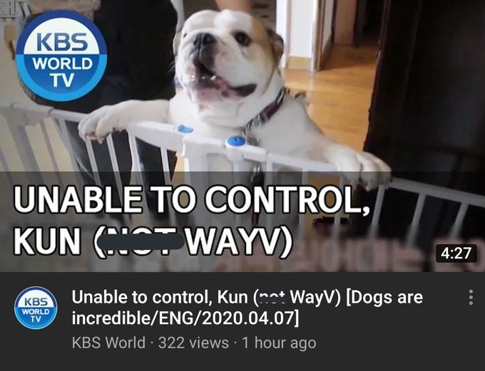 Unable to control kun