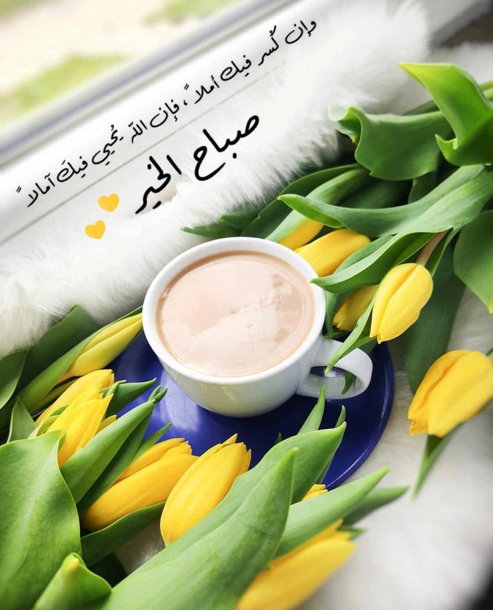 💐النعمه تحتاج إلى شكر 
و البلاء يحتاج إلى صبر 
و الذنب يحتاج إلى إستغفار
فمن شكر و صبر و أستغفر فقـد نال السعادة💐

صباح الخير