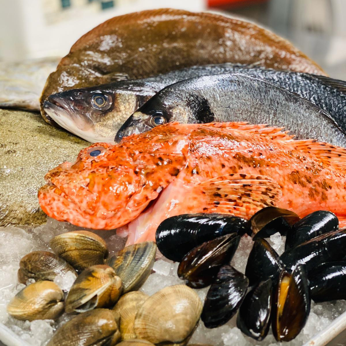 portosole.miami on Twitter: