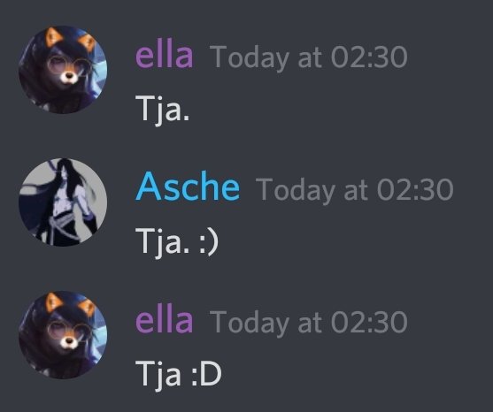 me and asche discuss the use of the word "tja" in german