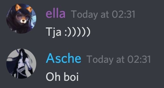 me and asche discuss the use of the word "tja" in german