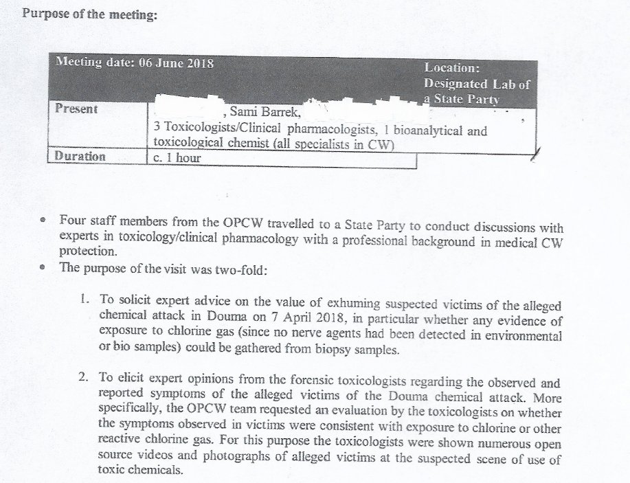 9) Minutes of the meeting with the 4 NATO toxicologists provide further evidence that it was known full well that the civilians could not have been killed by chlorine from this gas cylinder poised over a hole on a balcony.