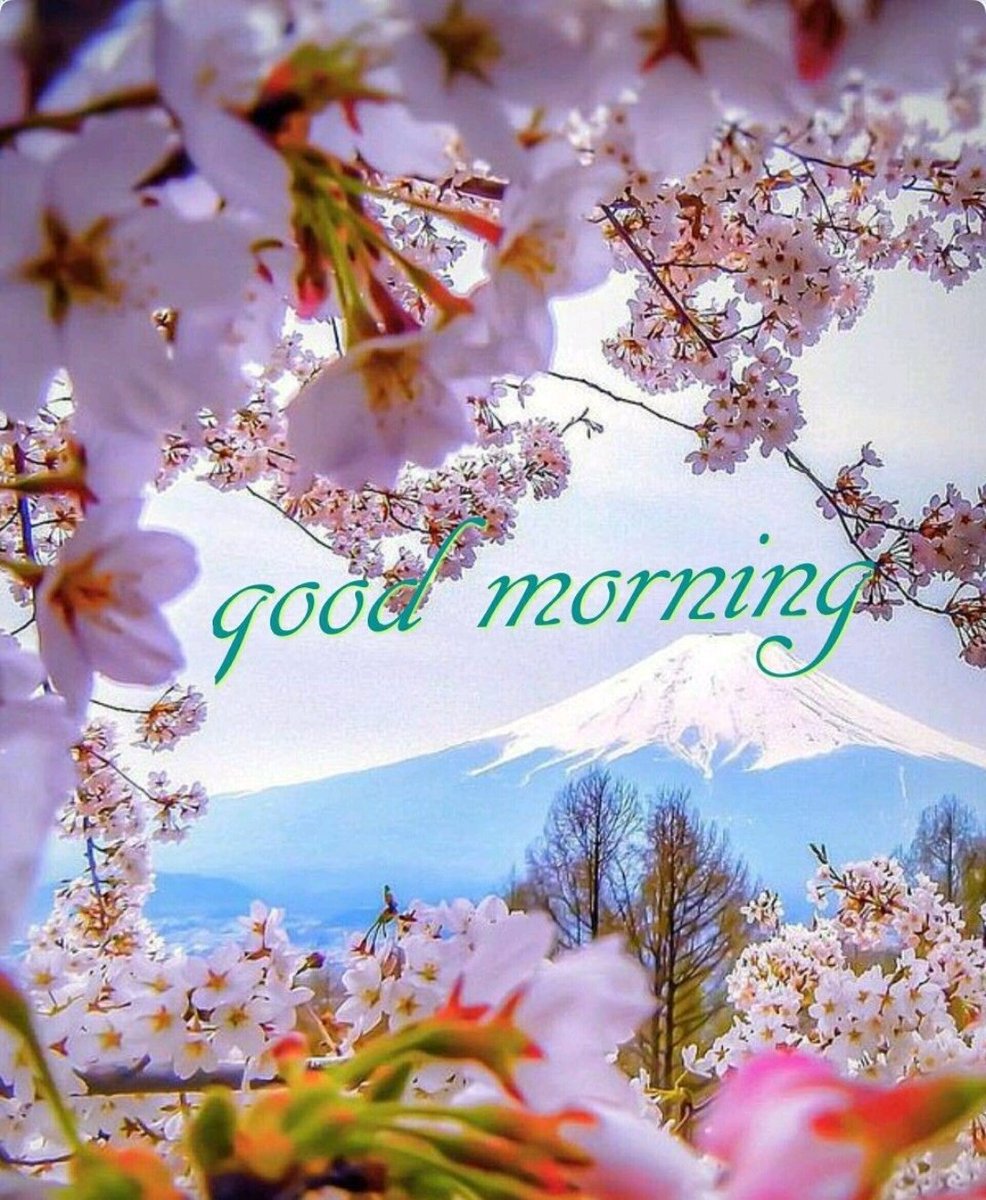 To54442170's tweet photo. #StressAwarenessMonth
#8April
#GoodMorningTwitterWorld 
The only person you should try to be better than is the person you were yesterday https://t.co/3Wd6L7ECM7