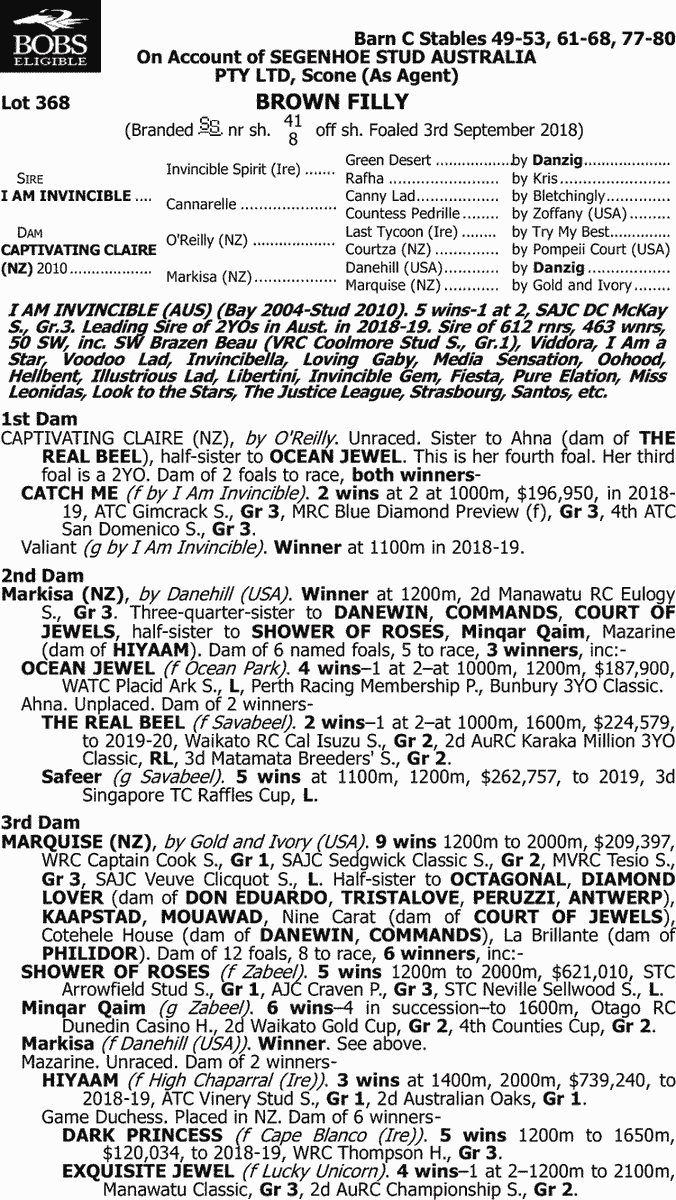 馬 Le Cheval♘♞ tweet media