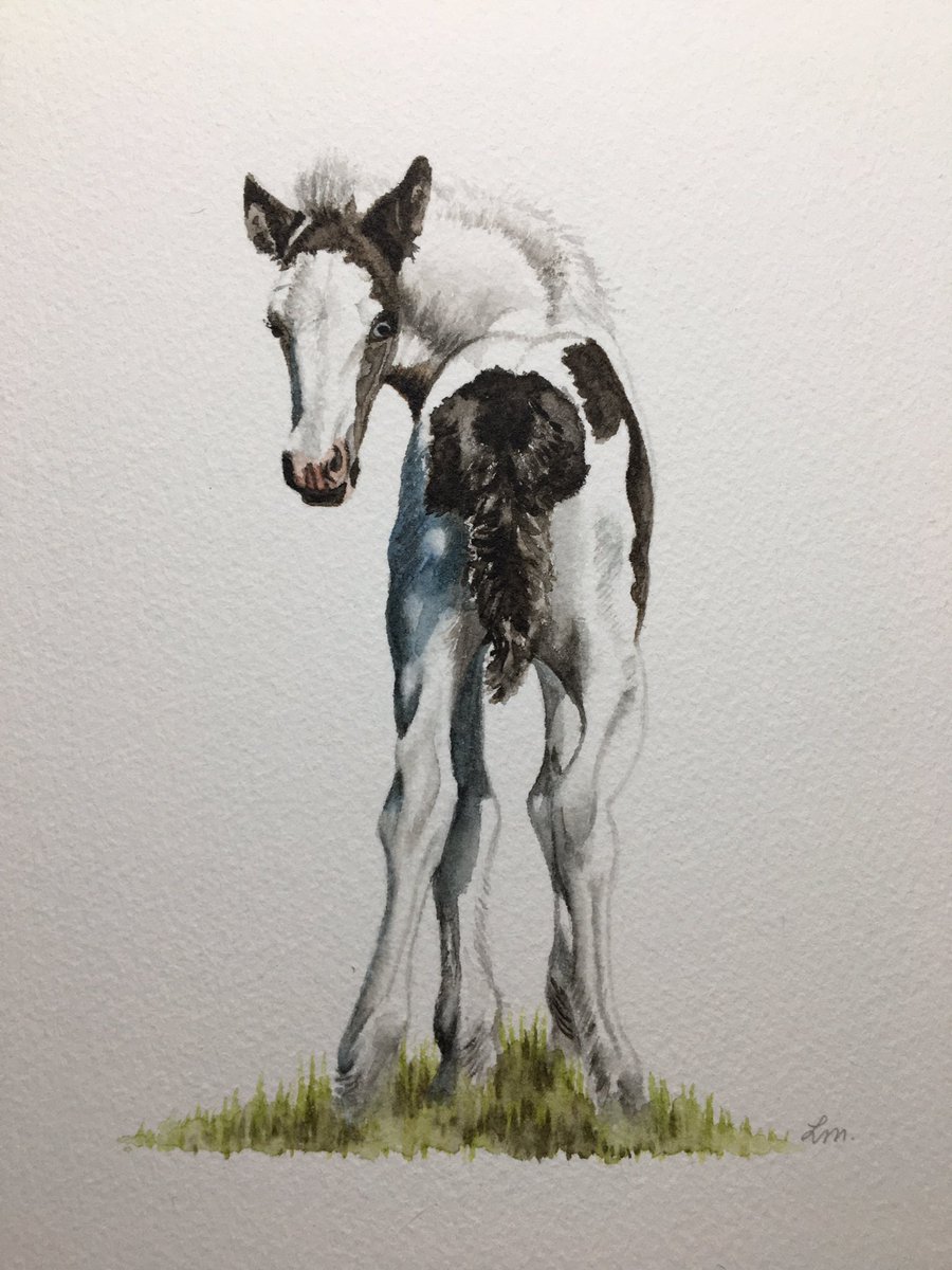 Not sure what to name this one? Any suggestions? #piebald #foal #foalart #equineart #Sennelierwatercolours #windsor&Newton #babyhorse #equineartist