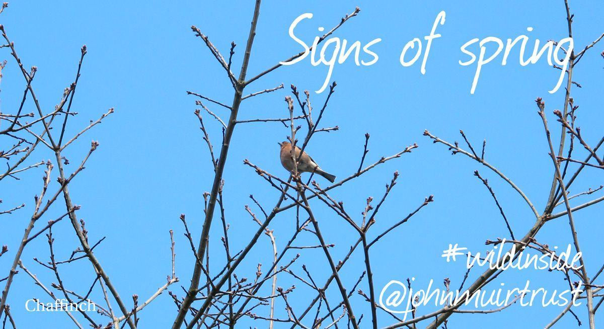 Issue 2 of our weekly #wildinside newsletter is here: buff.ly/2JKnma3 Designed to help you combat cabin fever and make the most of time close to home.

It's show and tell time!  What signs of spring are you seeing? Tag us with #wildinside and <a href="/johnmuirtrust/">John Muir Trust</a>