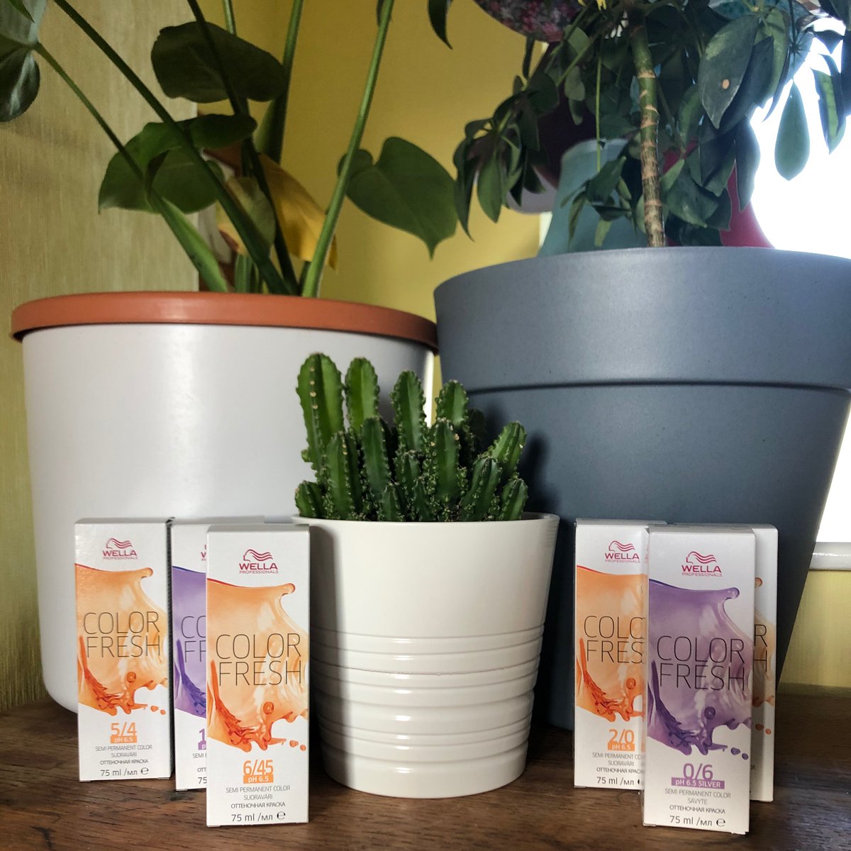 Boss Hair Studio tweet media