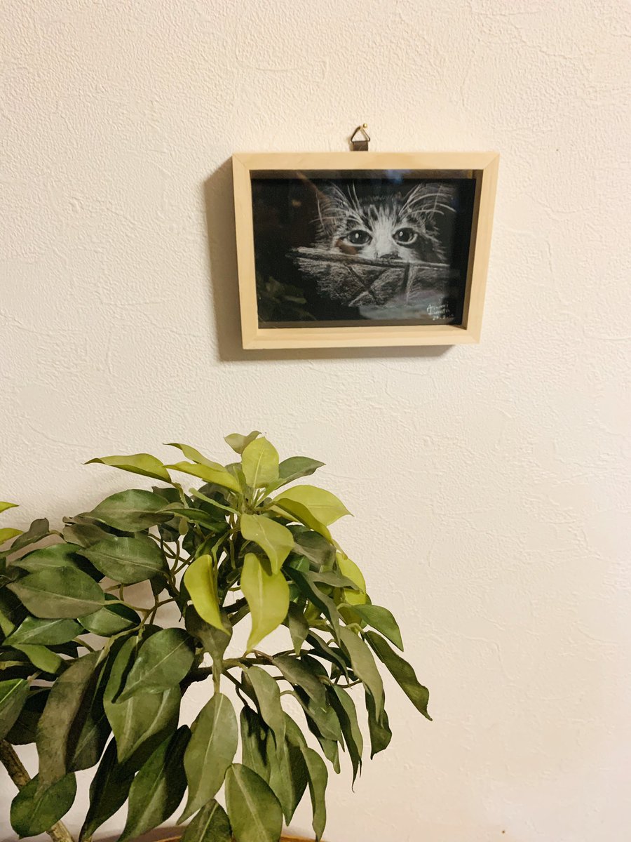 nomarium's tweet photo. 桜も見頃なのにどこにも行けない。気分が沈む。そんな時、部屋のあれやこれやをとりますっきりさせ、お気に入りの絵と植物を飾る。音楽をかけ、コーヒーを入れる。ぜひおうちにそんなコーナーを。くつろげます!
#コロナに負けない
#お家で過ごそう
#峰雪
#madeblue
#おりでちせ
#Atelier_Atsu https://t.co/G3XizeSFPK