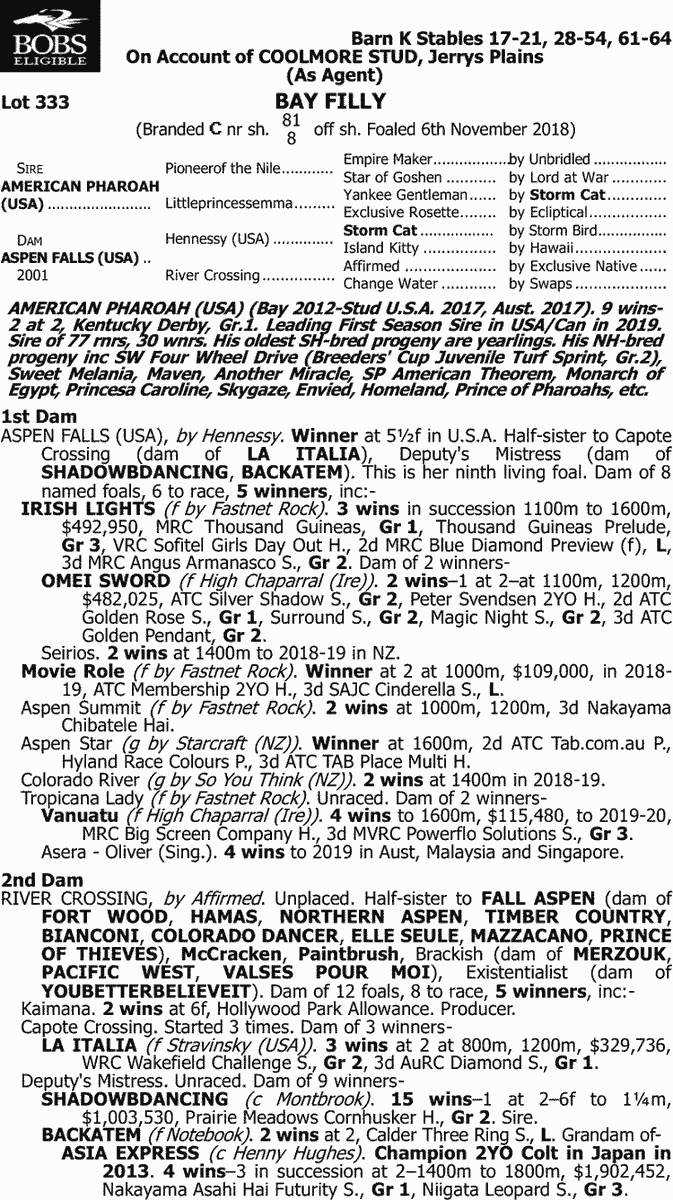 馬 Le Cheval♘♞ tweet media