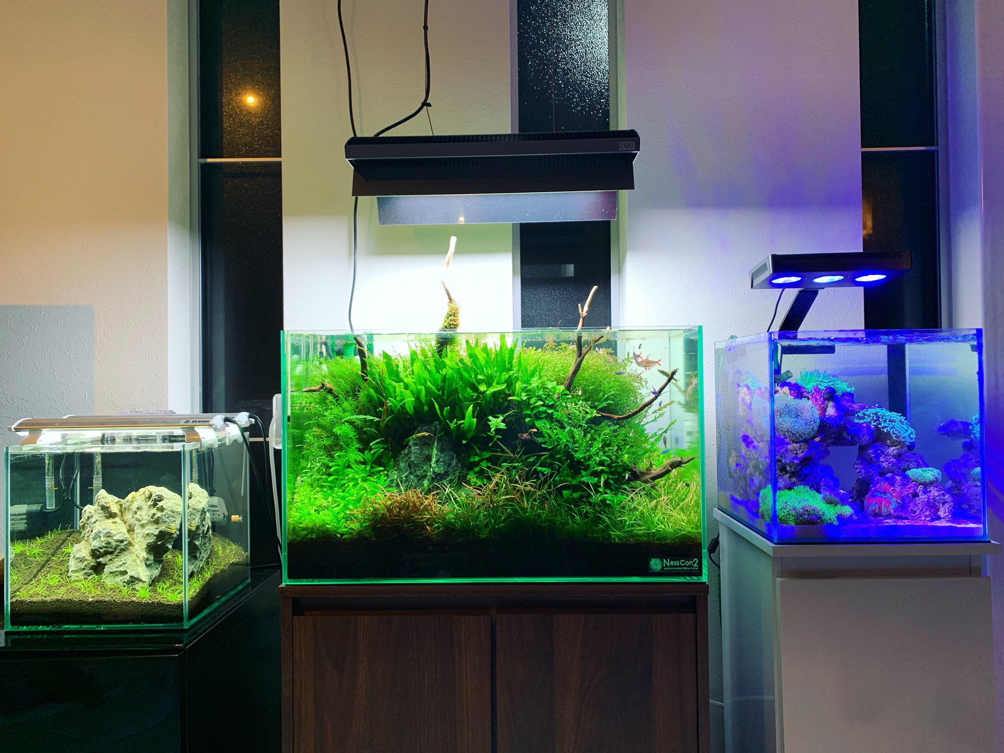 木下裕人 Hiroto Kinoshita こんばんは 夜のアクアリウムリビングルーム ボーッとする時間は必要です 頭をスッキリフレッシュにするのにアクアリウムは良いツールです アクアリウムは 好きか興味無いにしか分かれないとおもいます つまり嫌い