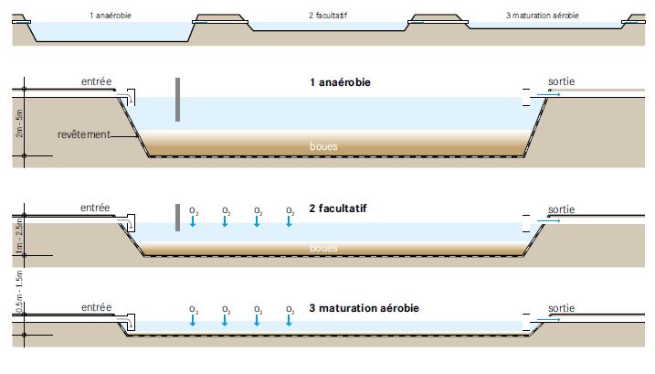 7/ Le dernier maillon, celui du "traitement" il permet de réduire la pollution environnementale des excretas et de les rendre inoffensifs du point de vue sanitaire avant leur valorisation ou rejet dans la nature.