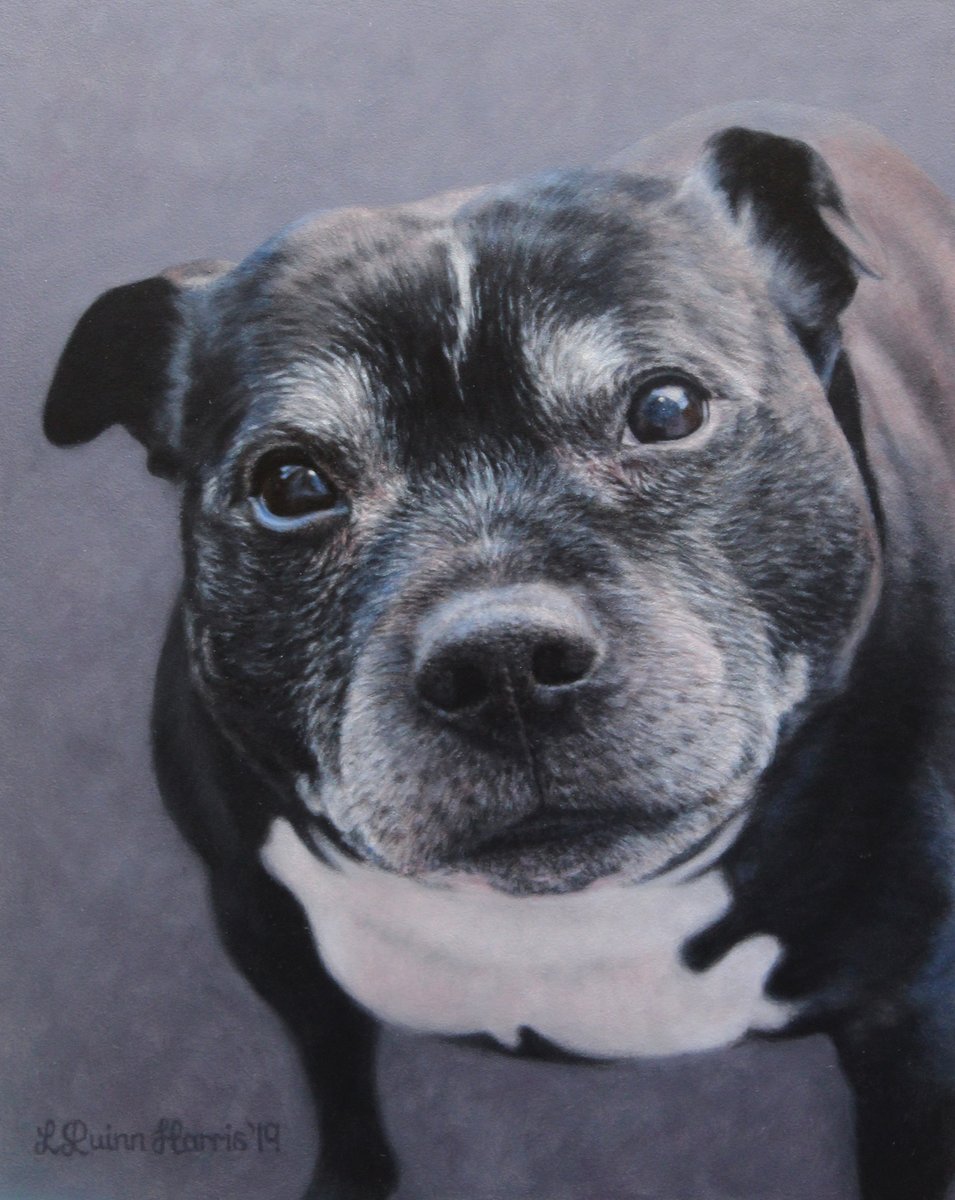LauraQuinnH's tweet photo. One of my final commissions from last year -

Bear
Oil on board
8" x 10" https://t.co/LCE73MVcmq