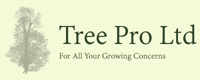 TreeProLtd's tweet image. Tree Pro Ltd is experienced in providing high quality #treesurgery across Kent, from Maidstone to Ashford AND Medway including any surrounded villages, to trees and gardens of all sizes🌲 We are committed to the preservation of trees and the environment👉bit.ly/2TRiXGy