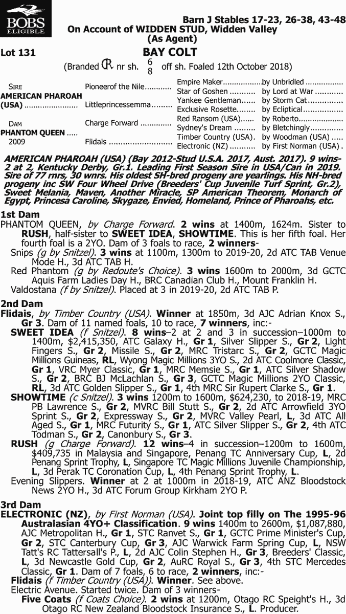 馬 Le Cheval♘♞ tweet media