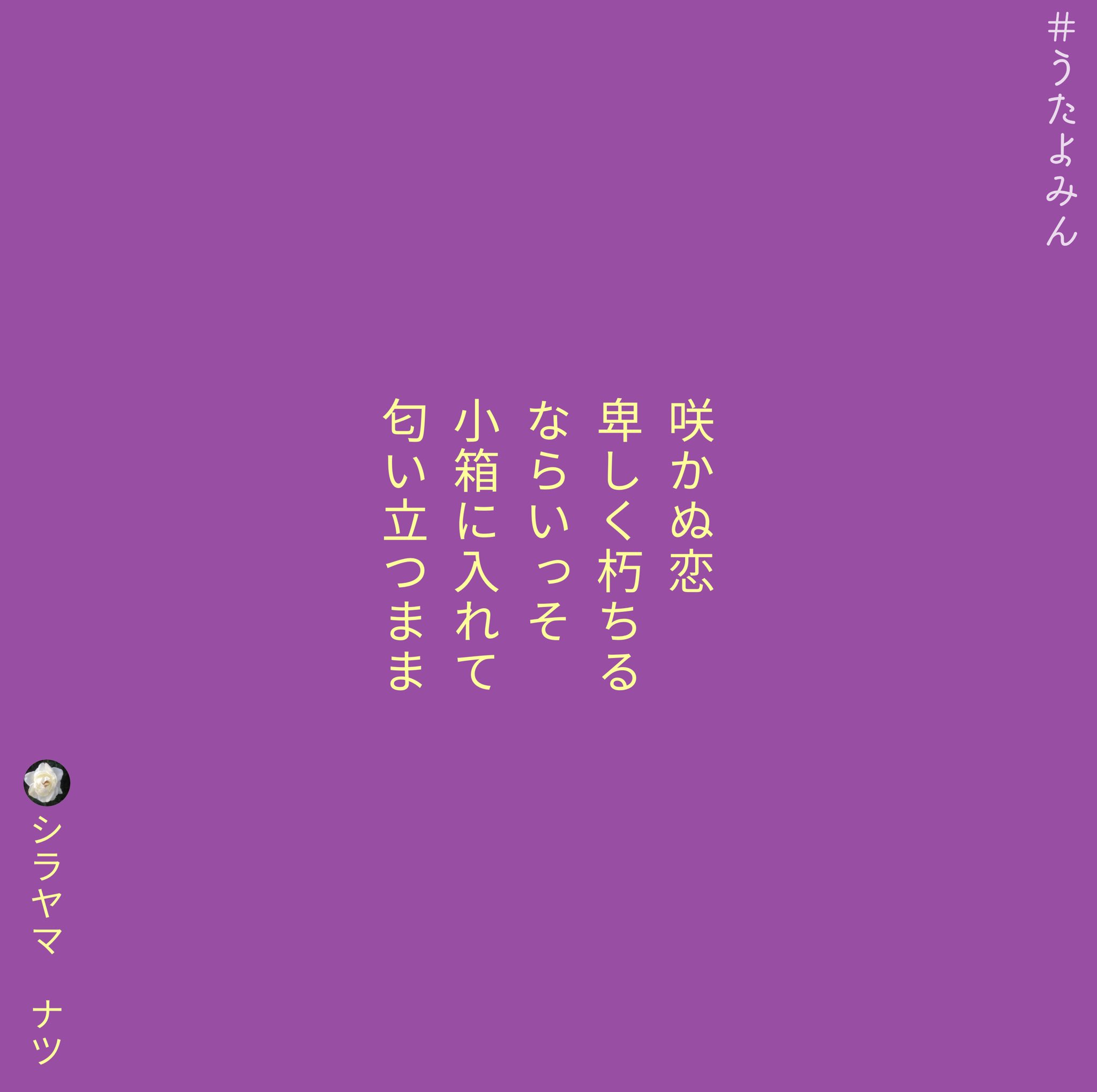 Shirayamanatsu シラヤマ ナツ Auf Twitter 咲かぬ恋 卑しく朽ちる ならいっそ 小箱に入れて 匂い立つまま シラヤマ ナツ 短歌 詩 短歌好きな人と繋がりたい 詩を書く人と繋がりたい 詩歌 歌詞 片思い 片想い 恋 ポエム 恋愛 恋愛ポエム Shirayamanatsu シラヤマ ナツ Auf Twitter 咲かぬ恋 卑しく朽ちる ならいっそ 小箱に入れて 匂い立つまま シラヤマ ナツ 短歌 詩 短歌好きな人と繋がりたい 詩を書く人と繋がりたい 詩歌 歌詞 片思い 片想い 恋 ポエム 恋愛 恋愛ポエム