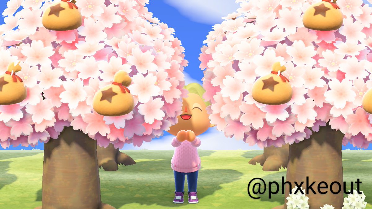 phxkeout's tweet photo. Money does grow on trees😳😅 #ACNH #ACNHDesign #cherryblossoms #NintendoSwitch https://t.co/sF4jQYHRjz