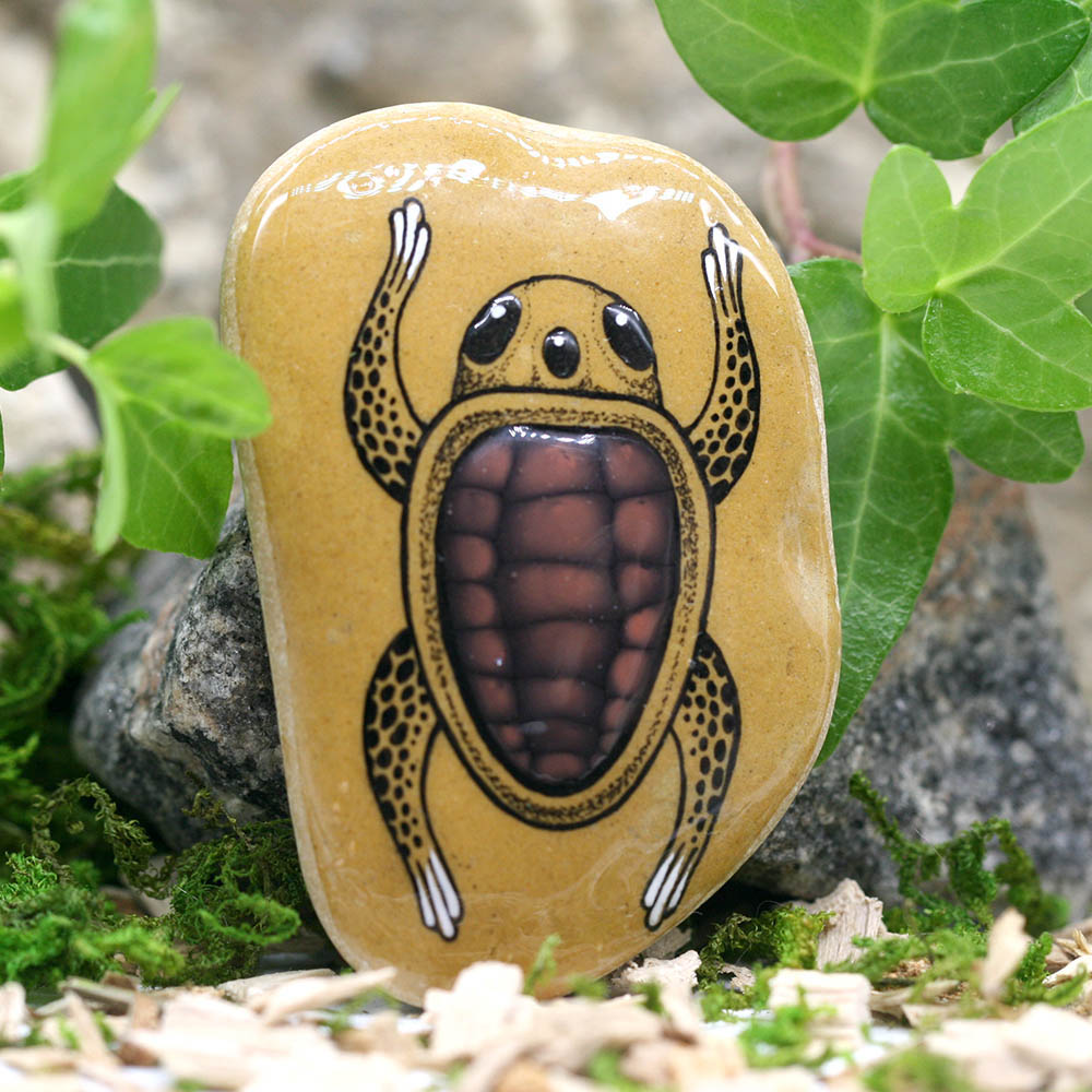 rainbowmarleo's tweet photo. Three-eyed alien, climb Mt Erebus! But creepier, creepier (Haiku)

#threeeyed #mutantturtle #alienspecimen #handpaintedrocks #haiku

https://t.co/87ahhgoIL0 https://t.co/UbZ7QtjuNL