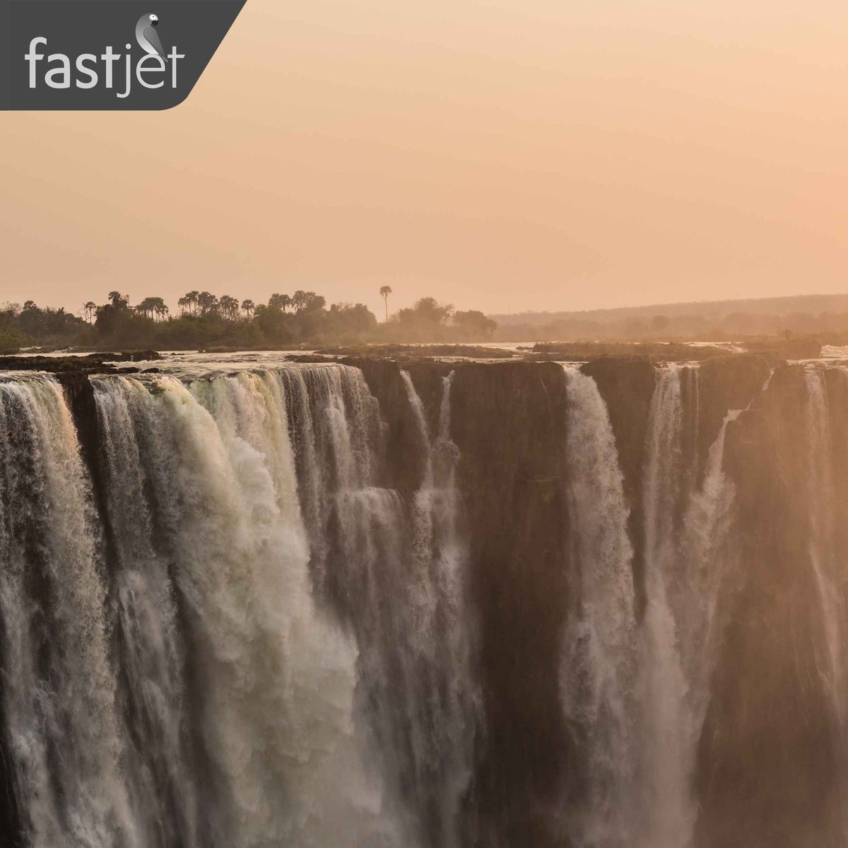 fastjet's tweet photo. Look deep into nature, and then you will understand everything better.ย
#WeWillFlyAgain #WeAreInThisTogether #WeAreAviation
#StaySafe #StayStrong #Zimbabwe #SouthAfrica
#Fastjet #ForEveryone #VictoriaFalls https://t.co/cxtKpoknj9