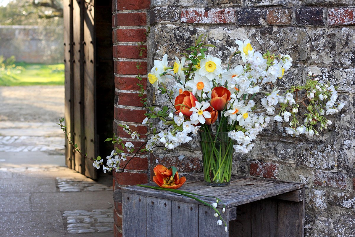 parhaminsussex's tweet photo. Our head gardener Erika Packard is continuing our tradition of creating cut flower arrangements that reflect what is blooming in the garden. #Narcissus, #tulips, #leucojum, #quince, and ornamental cherry branches make up this early April arrangement. #parhamhouse #gardening https://t.co/A0qah7h6t2