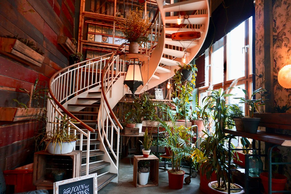 fabienvlems's tweet photo. House of Small Wonder | Hotspot Berlijn https://t.co/mXjrL0paxt https://t.co/bHU22qS6bM