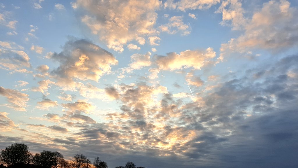 Rina_Sowler's tweet photo. A quiet morning run⛅☺️.
#OneOutdoorRunADay
#StaySafeandStayStrong
#CumulusCloud ?☁️🤓 https://t.co/sQQ5xOGpvQ