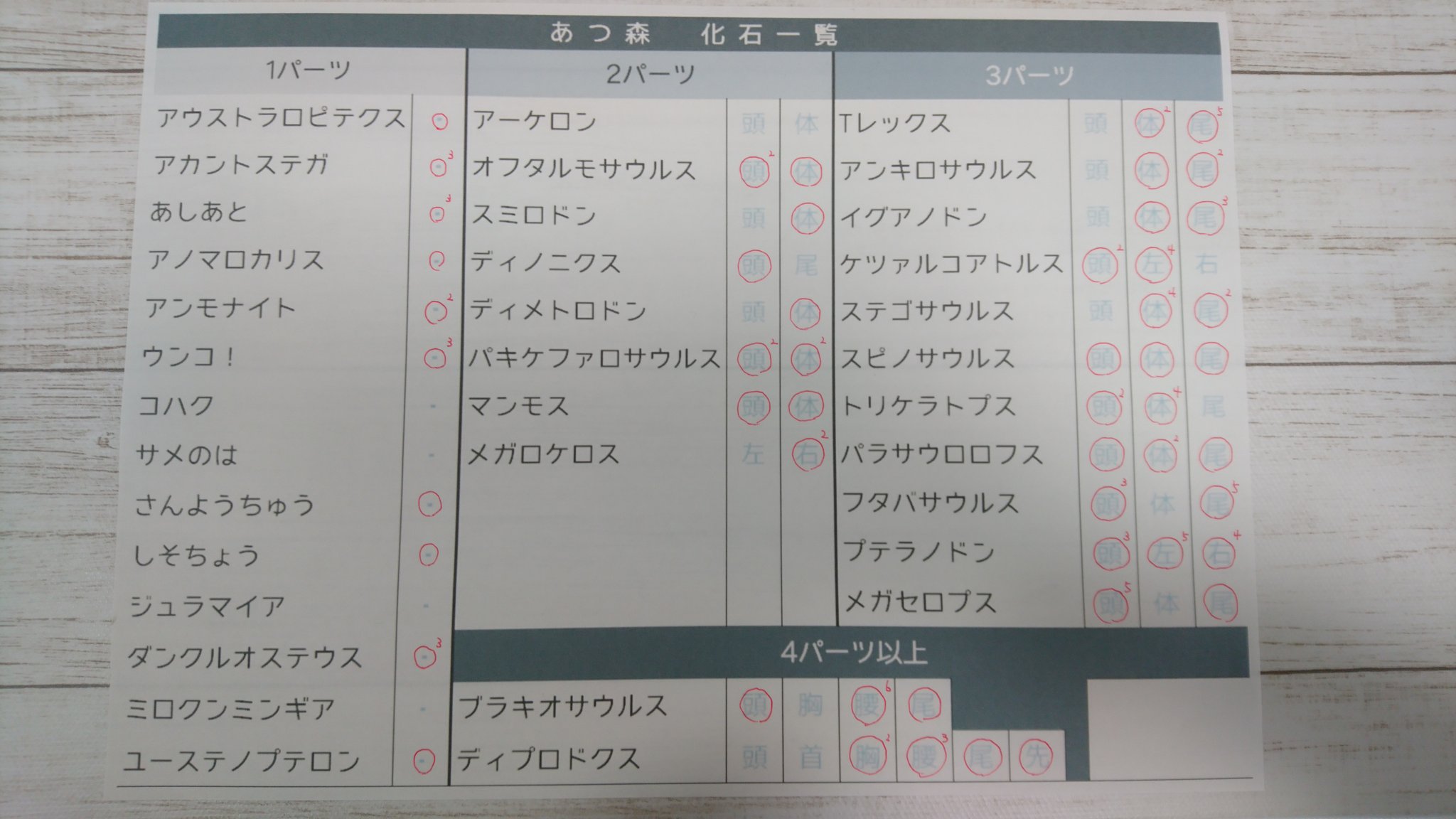 ヨークン げむあか 求 アーケロン体 サメのは ステゴサウルス頭 ディノニクス尾 フタバサウルス体 出 画像丸印の化石 検索用 あつ森 交換 化石 どうぶつの森 かせき