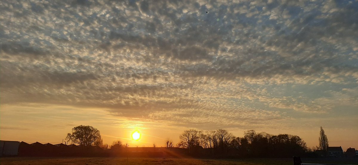 krurke's tweet photo. David Vandenbussche
Kuurne om 7u36
#vrtweer #clouds #ochtendstond https://t.co/YI5VaOeChe