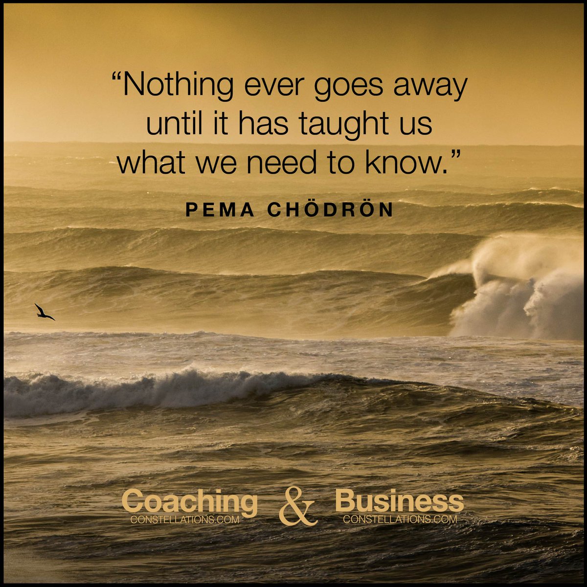 SystemicCoach's tweet image. In systems all deep patterns repeat until you resolve them at source. In the world, in your organisation, in your team and in yourself.

#SystemNotSymptom #SystemicPerspectives #SystemicConstellations
#PemaChodron #FamilySystems #SystemicTeamCoaching