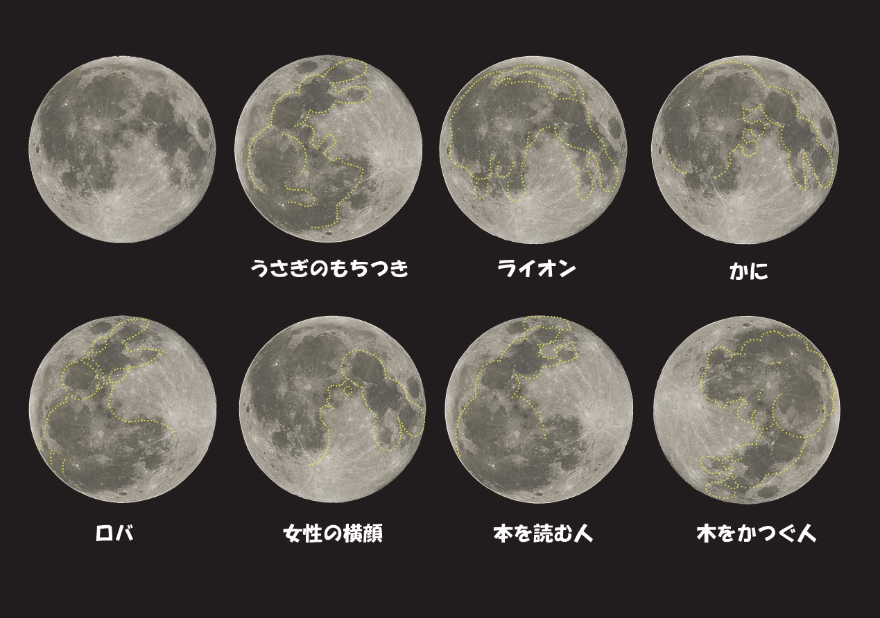 Twitter 上的 星の観察館 満天星 今夜満月を見たら模様にも注目してみましょう 双眼鏡がおススメです 日本ではよく ウサギの餅つき に見立てていますね 世界でもカニやロバなどいろんなものに見立てています みなさんは何に見えるでしょうか 参考書籍