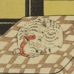 main image of this resource