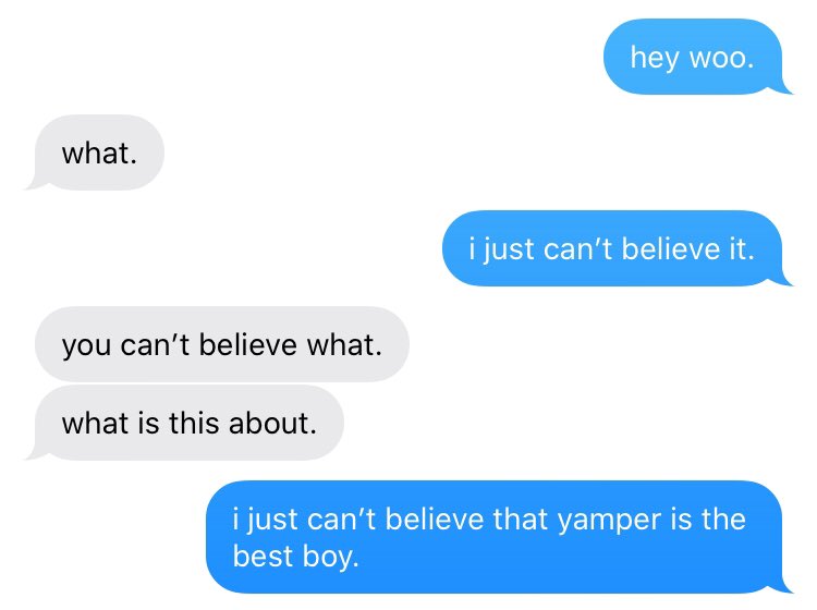 ➳ yamper is the best boy.