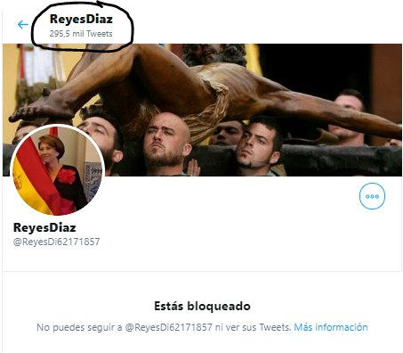 Comprobé que cuentas hacían RT a esta cuenta y destacaba una sobre todas, pero cuando voy a analizarla, sorpresa! estoy bloqueado, tiene nada menos 295K tuits puestos, y con sus cositas en la foto.