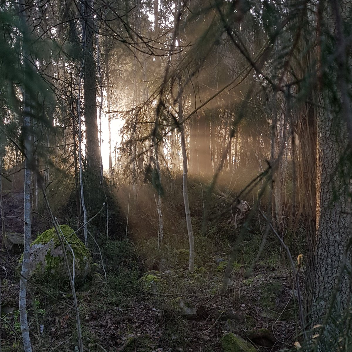 I see you, sunshine!!!!! *wave*