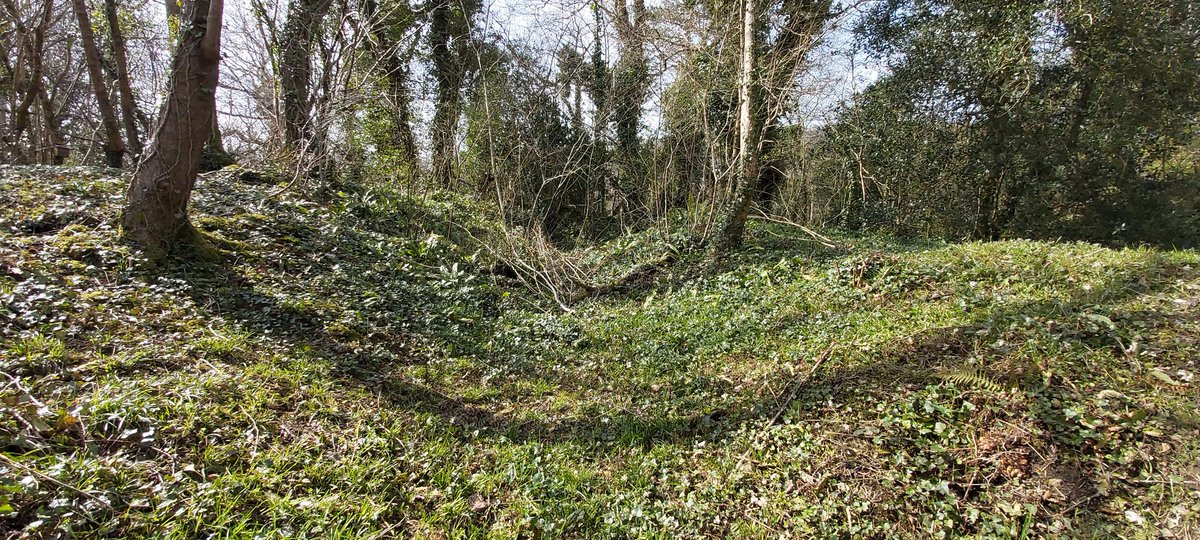 #hillfortswednesday is at #Dinaspowys The smell of wild garlic to get to it is fabulous. coflein.gov.uk/en/site/301314…