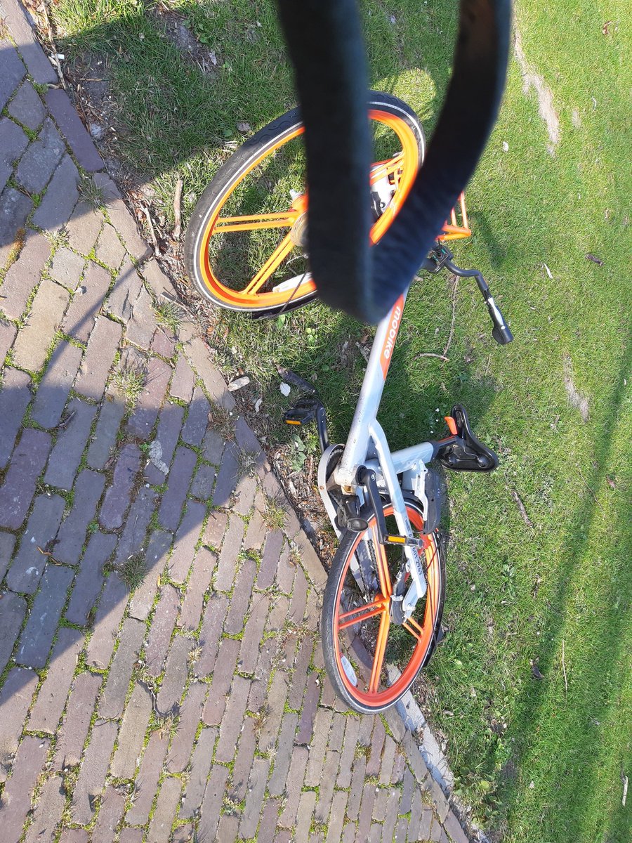 🇾🇪^André O delft 🇾🇪 tweet media